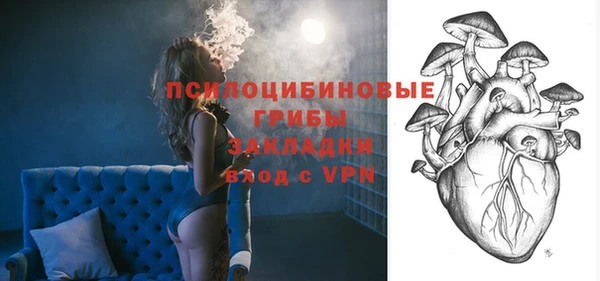 прущие грибы Наволоки