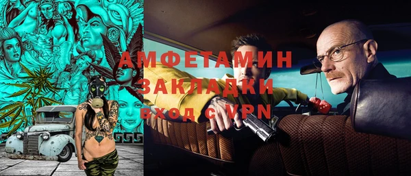 прущие грибы Наволоки