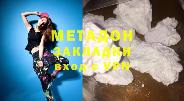 прущие грибы Наволоки