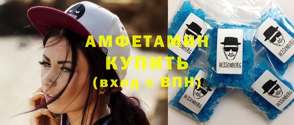 прущие грибы Наволоки