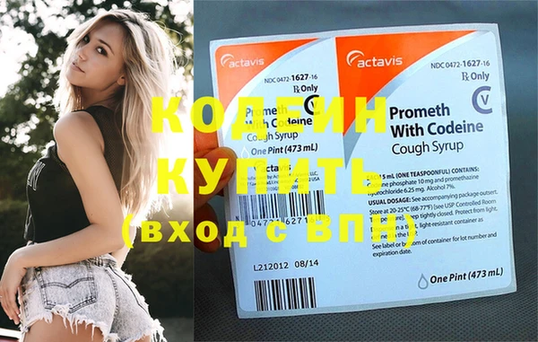 прущие грибы Наволоки