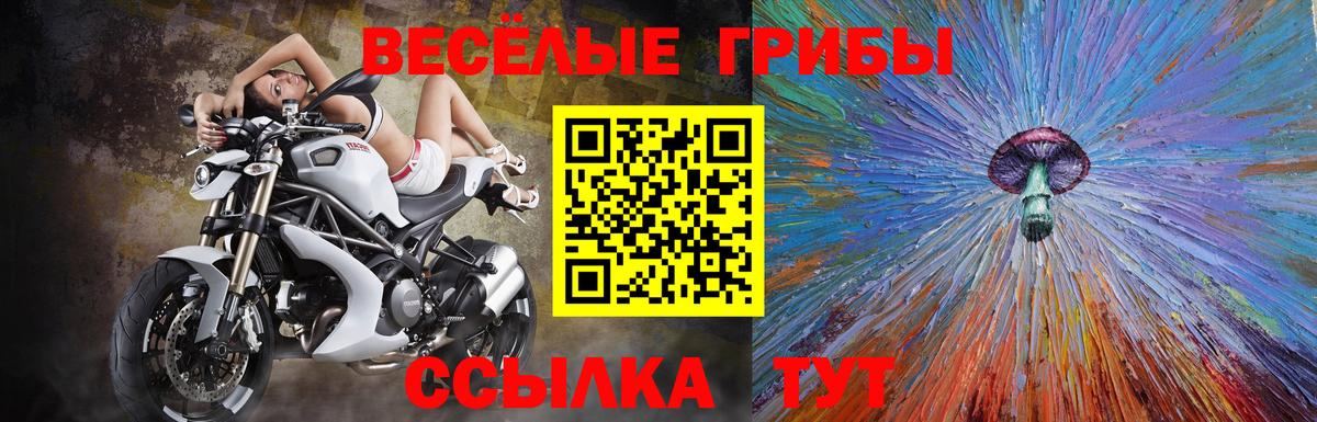 Узловая  купить закладку  Вход с VPN  Галлюциногенные грибы Cubensis 