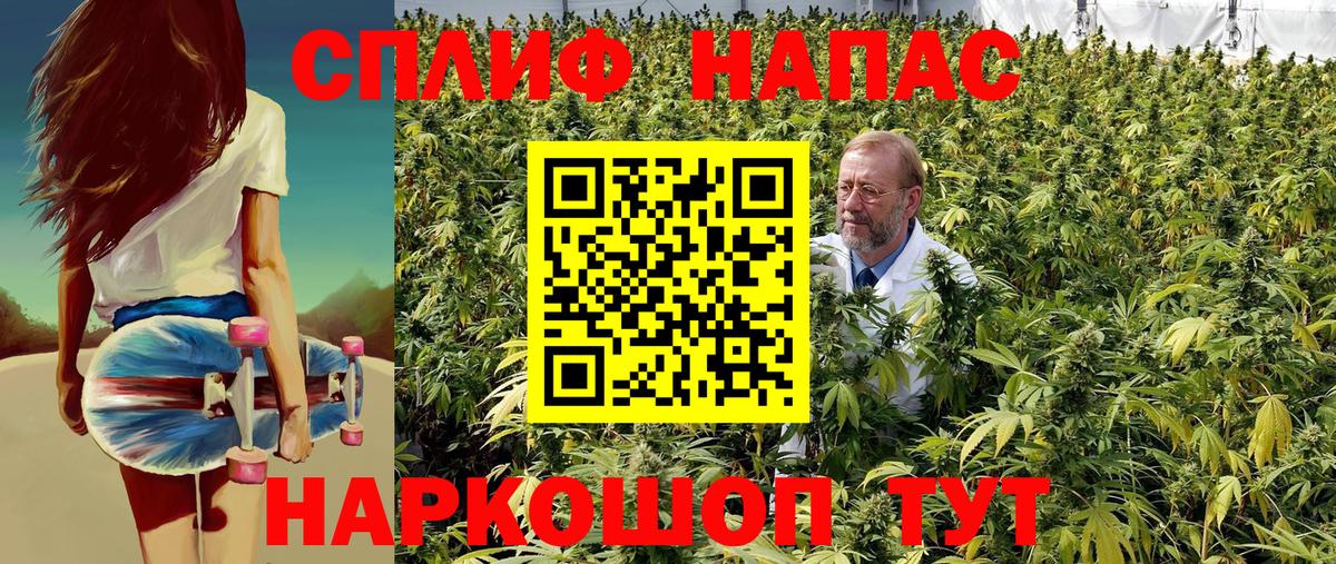Бошки Шишки планчик  Конопля SATIVA & INDICA  Вход с VPN  Бошки марихуана конопля  Узловая 